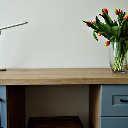 Bulwary 4 شقة أوشفينجم